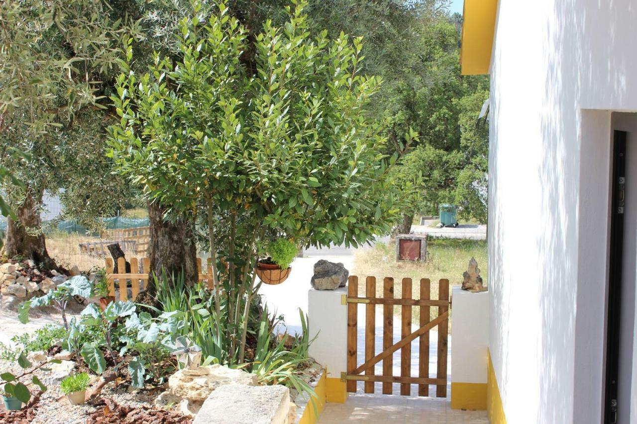 Turismo Rural casa da céu Amiais de Cima Exterior foto